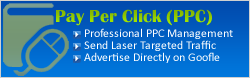Pay Per Click Services Delhi